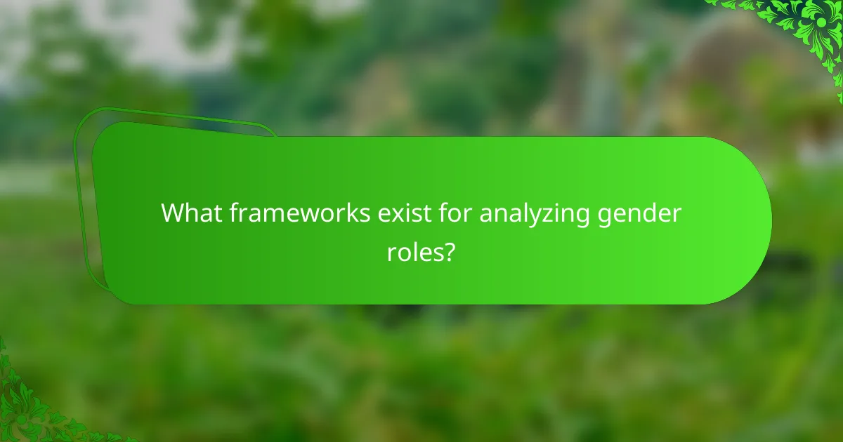 What frameworks exist for analyzing gender roles?